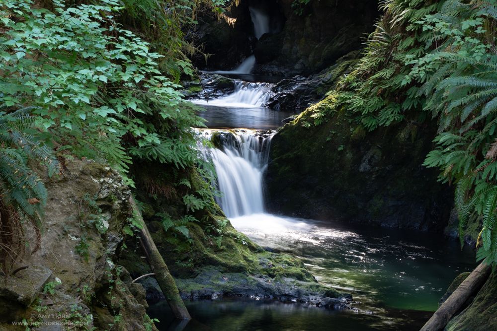 willaby creek falls