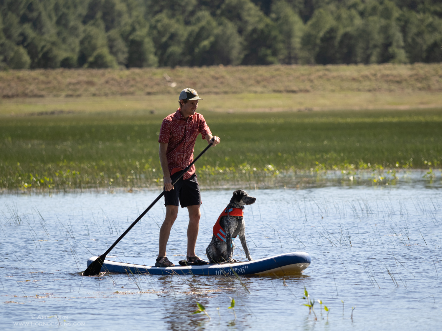 B/w boy with dog on paddle board