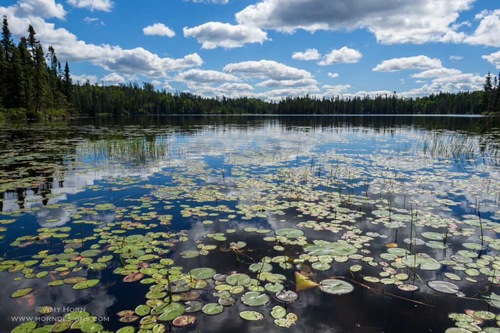 Boundary Waters image by Amy Horn