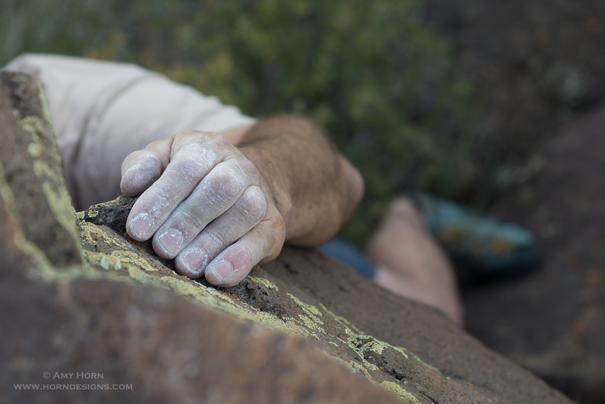 Chalked rock climbing hand from Buffalo Park by Amy Horn